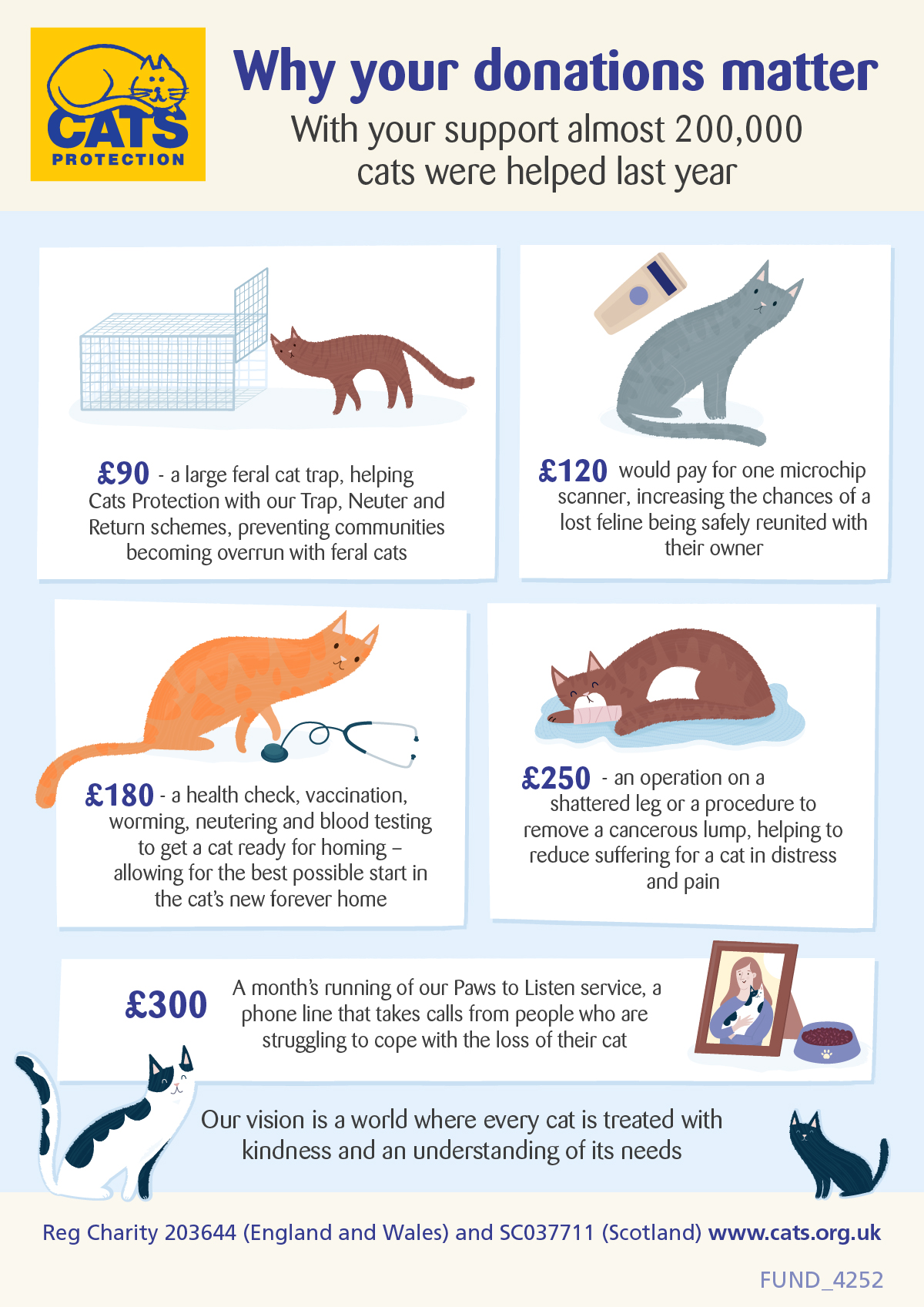 Fundraising Infographic for £90-£300